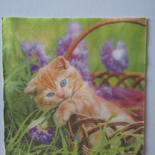 Serviettes en papier motifs chat thème animaux