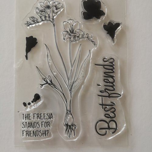 Tampon clear "fleurs & écritures"