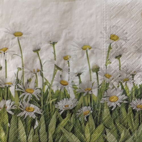 Serviettes en papier motifs fleurs "les marguerites"