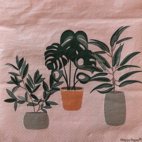 Serviettes en papier motifs plantes et végétaux