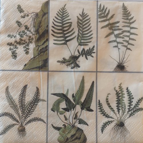 Serviettes en papier motifs plantes et végétaux