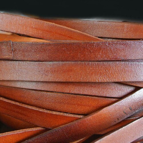 Vingt centimètres de cordon de cuir plat d'une jolie couleur marron rouge 10 x 2 mm, cuir en 1e couche