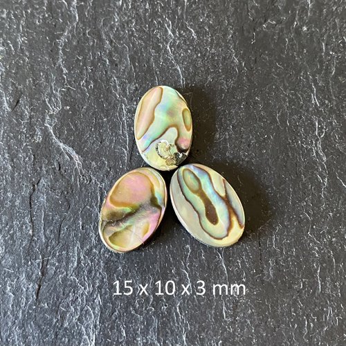 2 perles palets ovales 15 x 10 x 3 mm en nacre abalone (coquillage ormeau), trou : 1 mm
