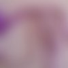 Croquet violet