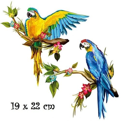 Patch applique, dessin transfert thermocollant, couple oiseaux perroquet sur branche d'arbre, 19 x 22 cm, sérigraphie à repasser - t990