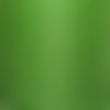 10 mètres de ruban voile organza - vert kiwi - largeur 3 mm