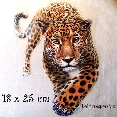 Grand patch applique, dessin transfert thermocollant, tigre, 18 x 25 cm, sérigraphie à repasser - t967