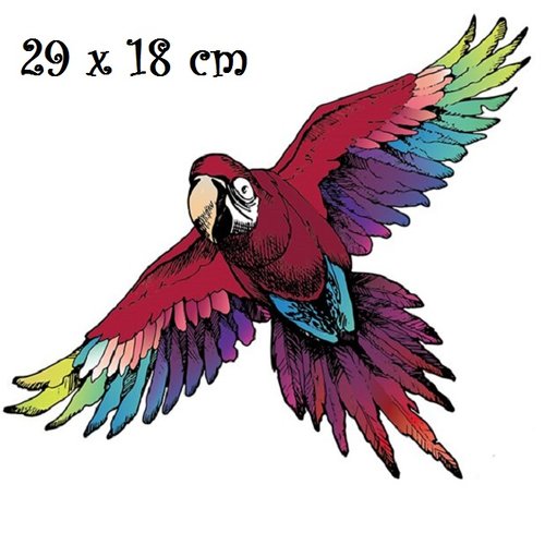 Patch applique, dessin transfert thermocollant, oiseau aigle, rapace coloré ** 29 x 18 cm ** sérigraphie à repasser - t956