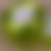 Ruban voile organza ** 25 mm ** 052 / vert olive - galon organdi - vendu au mètre