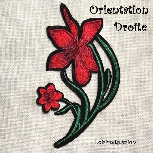 Badge Patriotique Patch Ecusson Camouflage Tunisie - 5x8 Cm, Imprimé Drapeau Tunisien Avec Fixation Mâle/Femelle Patch 5x8 Cm