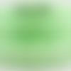 Ruban fantaisie ajouré dentelle arabesque / vert clair ** 22 mm ** aspect plastifié - vendu au mètre