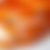 Ruban gros grain gros pois ** 10 mm ** 668 / orange pois blanc - grand teint - vendu au mètre