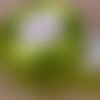 5 mètres de ruban voile organza ** 6 mm ** vert olive