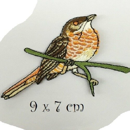 Grand Écusson patch brodé thermocollant - Couple Oiseau perroquet sur  branche fleurie ** 27 x 26 cm ** Applique à repasser