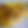 Ruban gros grain jaune soleil ** 10 mm ** tête chat noeud - galon imprimé vendu par 50 cm