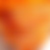 Ruban petite fleur pâquerette / orange ** 16 mm ** galon gros grain imprimé - vendu par 50 cm