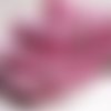 Ruban biais élastique - ourson nounours doudou fleur rose ** 16 mm ** galon foe imprimé souple satiné - oeko-tex 100 - vendu par 50 cm