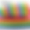 Ruban pois point arc en ciel rainbow multicolore scintillant ** 22 mm ** gros grain imprimé - vendu par 50 cm