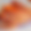 Ruban courbe volute arabesque - orange blanc ** 10 mm ** galon gros grain imprimé - vendu au mètre