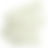 Élastique dentelle picot souple, blanc crème, 20 mm, ruban galon, vendu par 50 cm