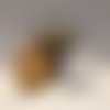 Choubox curry