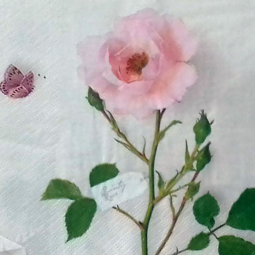 32 "serviette en papier" rose majestueuse