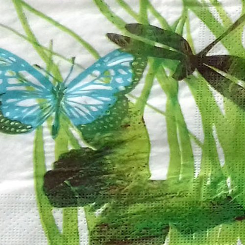39 "serviette en papier" papillon & libellule