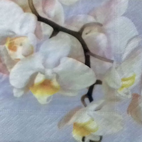 42 "serviette en papier" fleurs de pommier