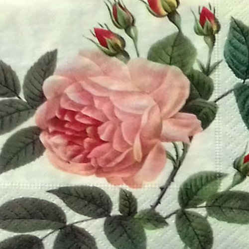 44 "serviette en papier" rose