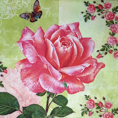 91 "serviette en papier" splendide rose