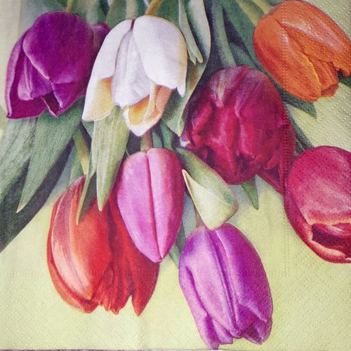 98  "serviette en papier" tulipes