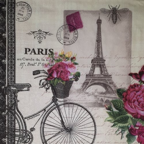 125  "serviette en papier" vélo parisien