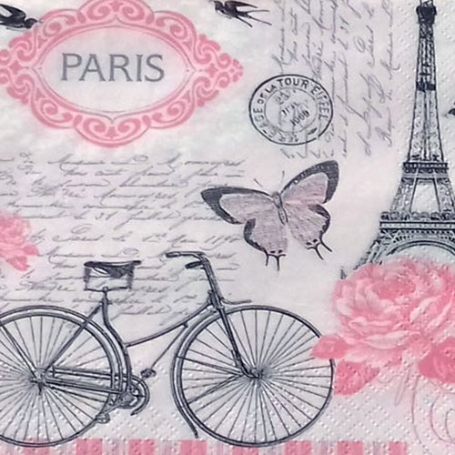 126 "serviette en papier" paris en vélo