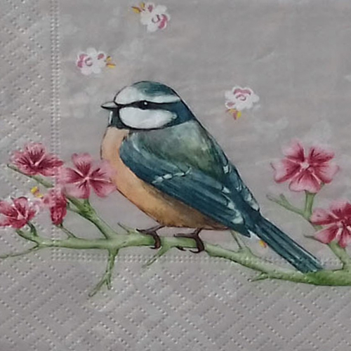151 "serviette en papier" l'oiseau sur sa branche (1)