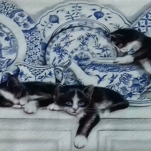 167 "serviette en papier" chatons malicieux