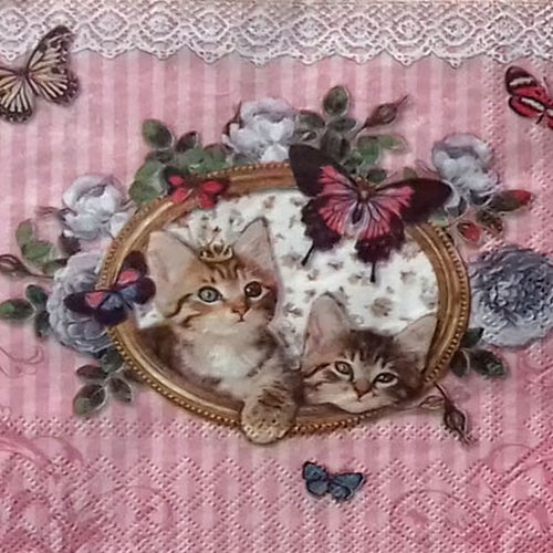 168 "serviette en papier" chatons royaux