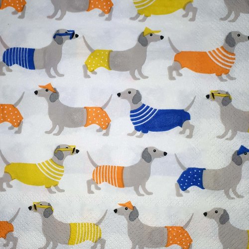 268 "serviette en papier" chiens & vêtements