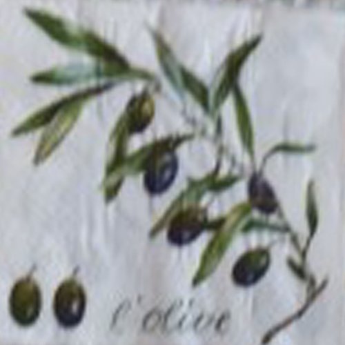 310 "serviette en papier" l'olive