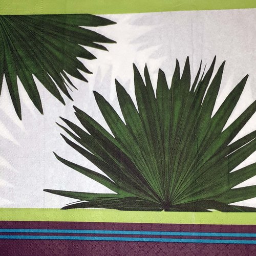 337 "serviette en papier"  palmier