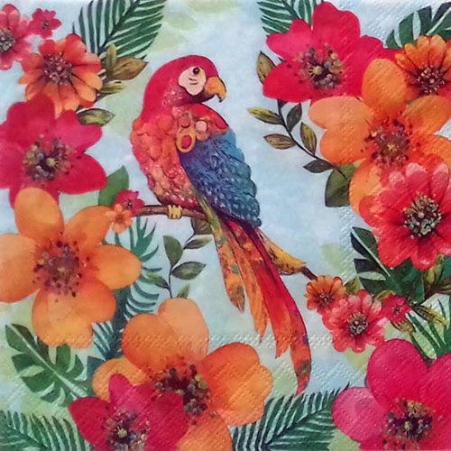 341 "serviette en papier" ara multicolore