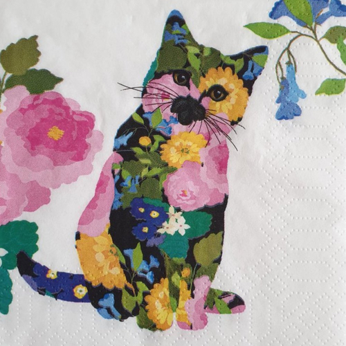 451 "serviette en papier" chaton multicolore