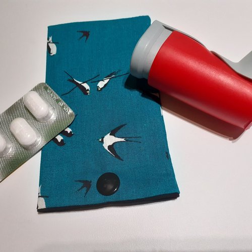 Etui multi usage pochette médicaments aérosol pilule brossette fil dentaire brossette rouge à lèvre carte transport ilona