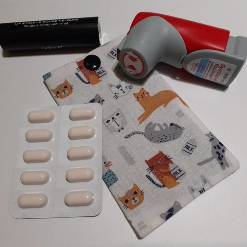 Etui multi usage pochette médicaments aérosol pilule brossette fil dentaire brossette rouge à lèvre carte transport ilona