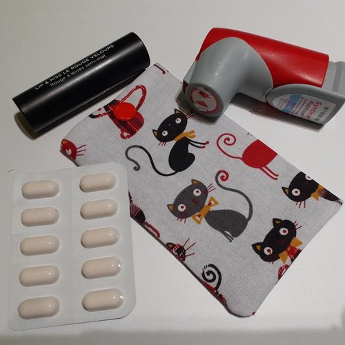 Etui multi usage pochette médicaments aérosol pilule brossette fil dentaire rouge à lèvre carte transport ilona