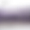 Cordon / paracorde 550 de 4 mm : violet blanc noir 