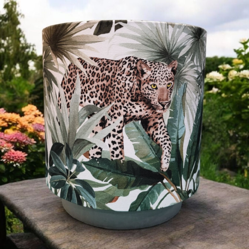 Esprit safari (collection intemporel)