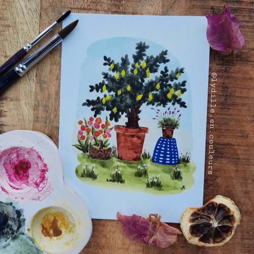 Aux couleurs de la provence