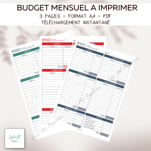 Budget mensuel imprimable - format a4 - fichier pdf - téléchargement instantané - design minimaliste.