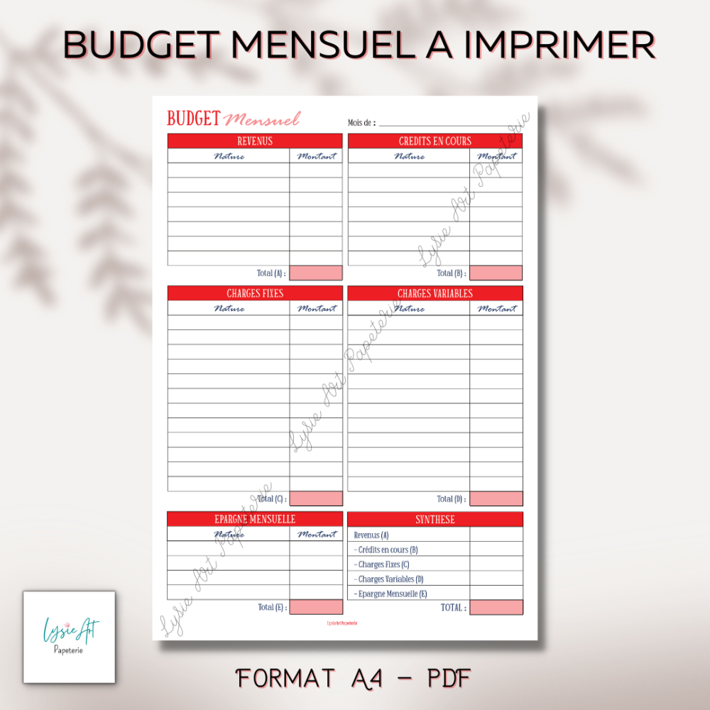 Fiche budget mensuel -  France