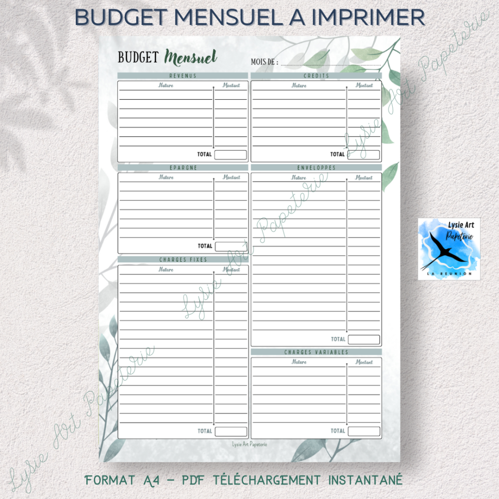 Organisation budget mensuel À IMPRIMER pour la gestion de 